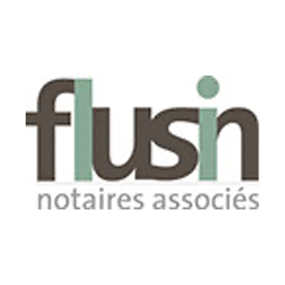 logo-flusin