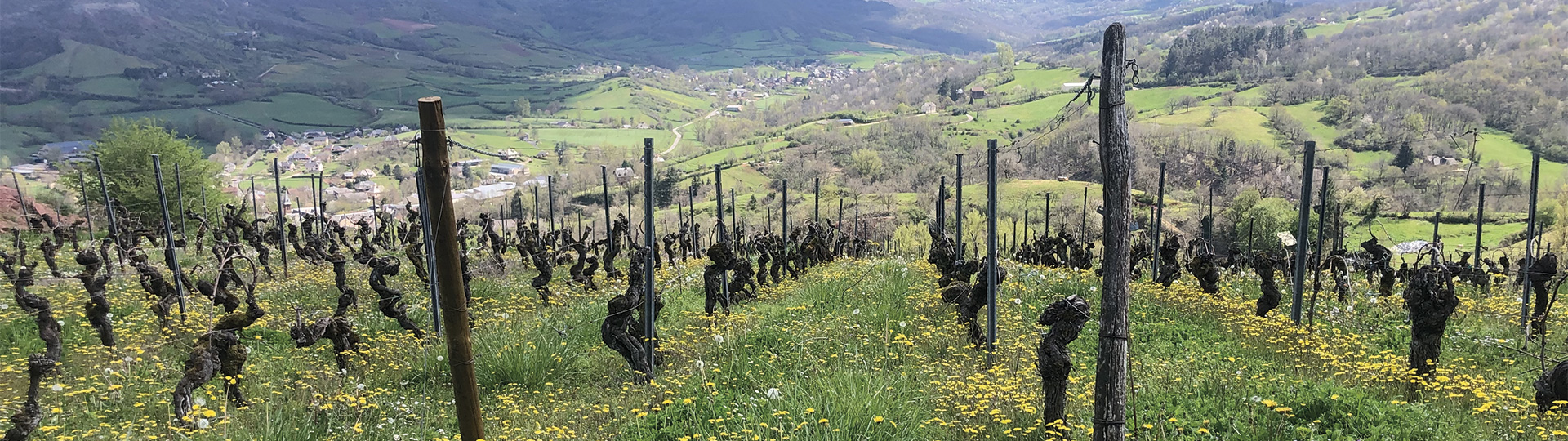 Domaine du Cros - Aveyron